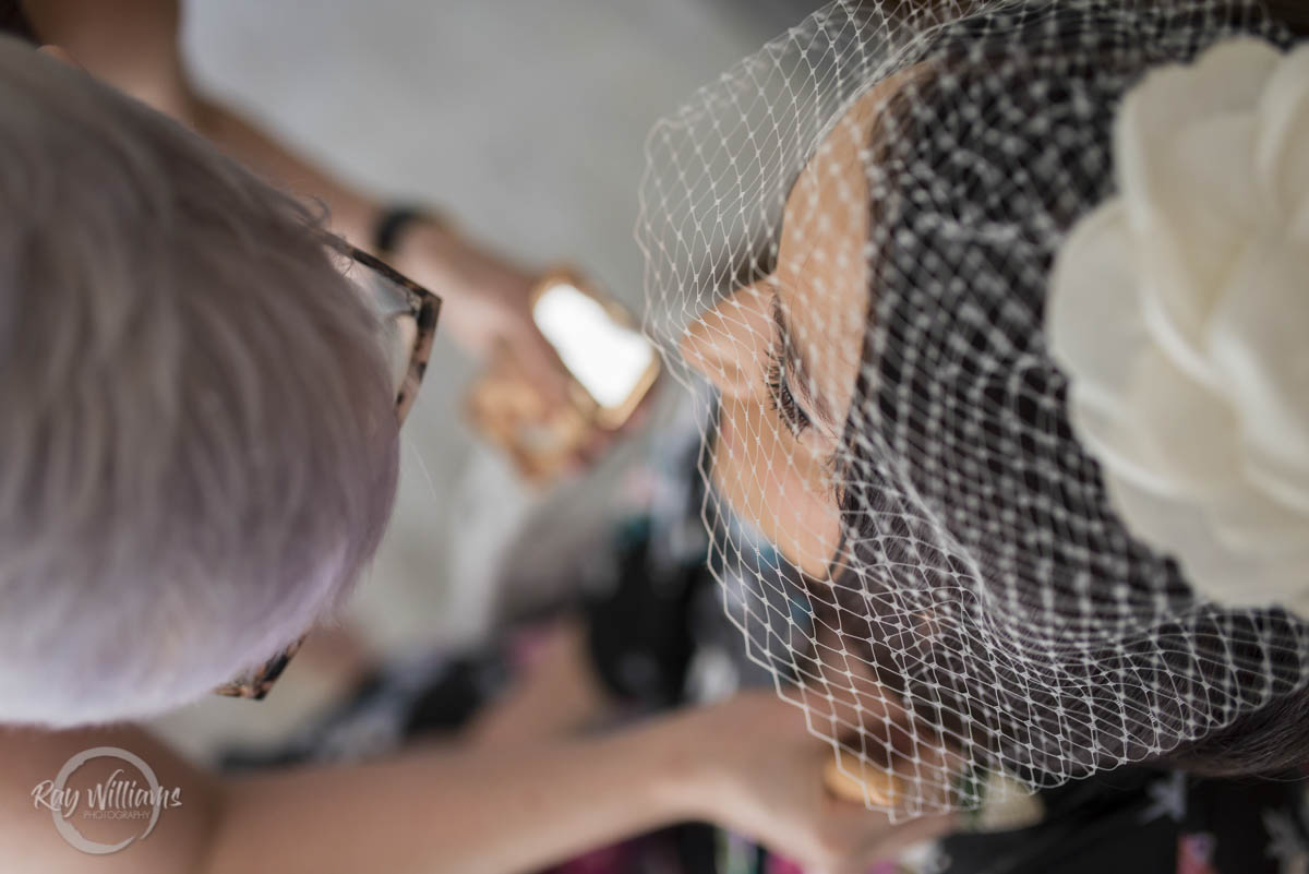 Elegant Bridal Veil 