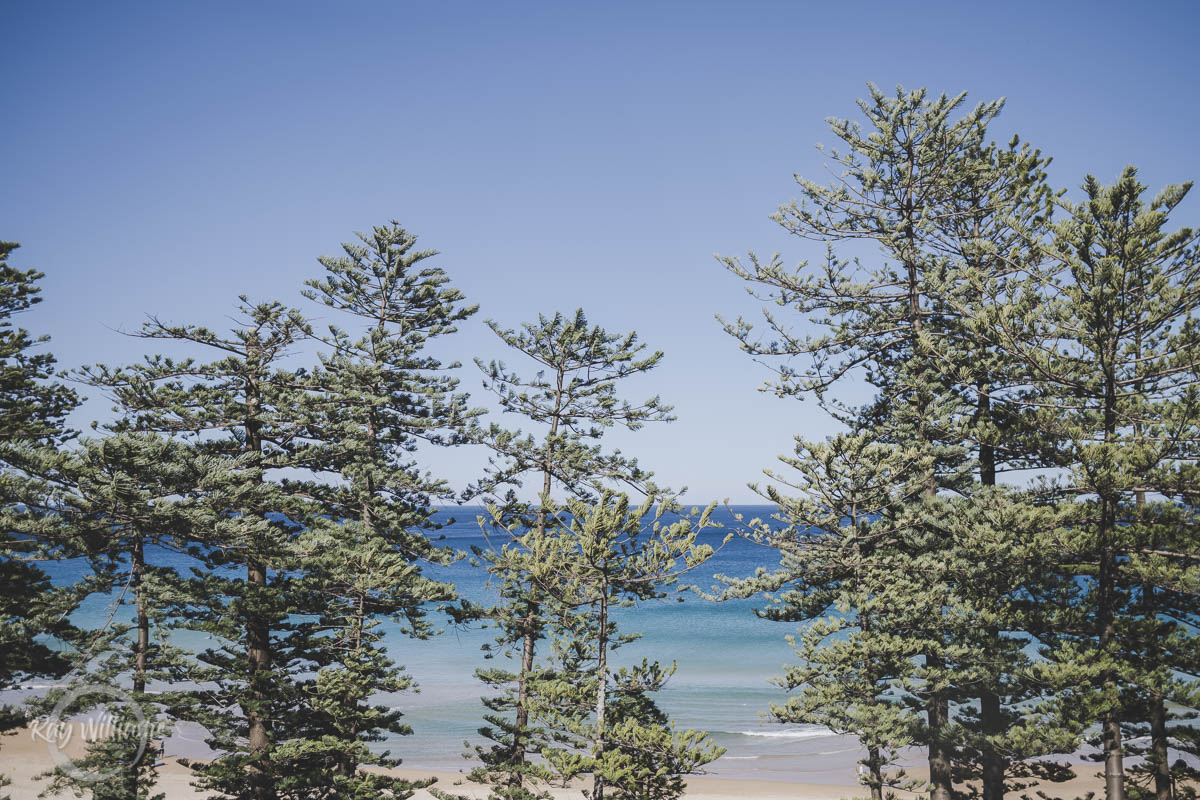 Manly Beachside Wedding (89)