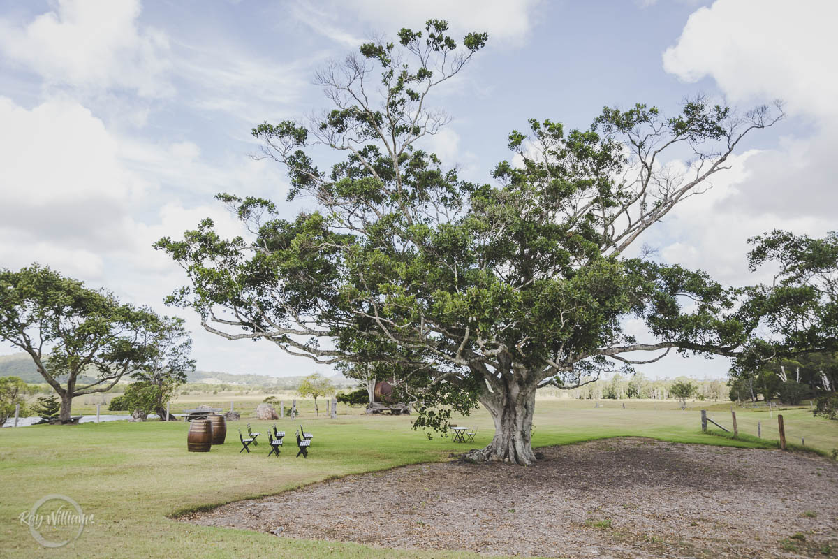 Yandina Station Wedding Ceremony Venue